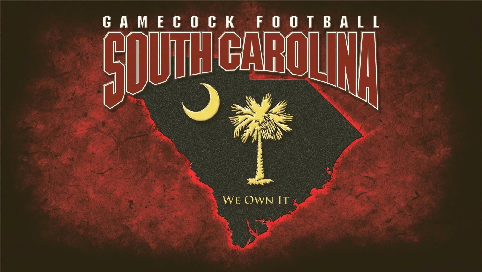 1600x905 Gamecocks Wallpaper Wallpaper