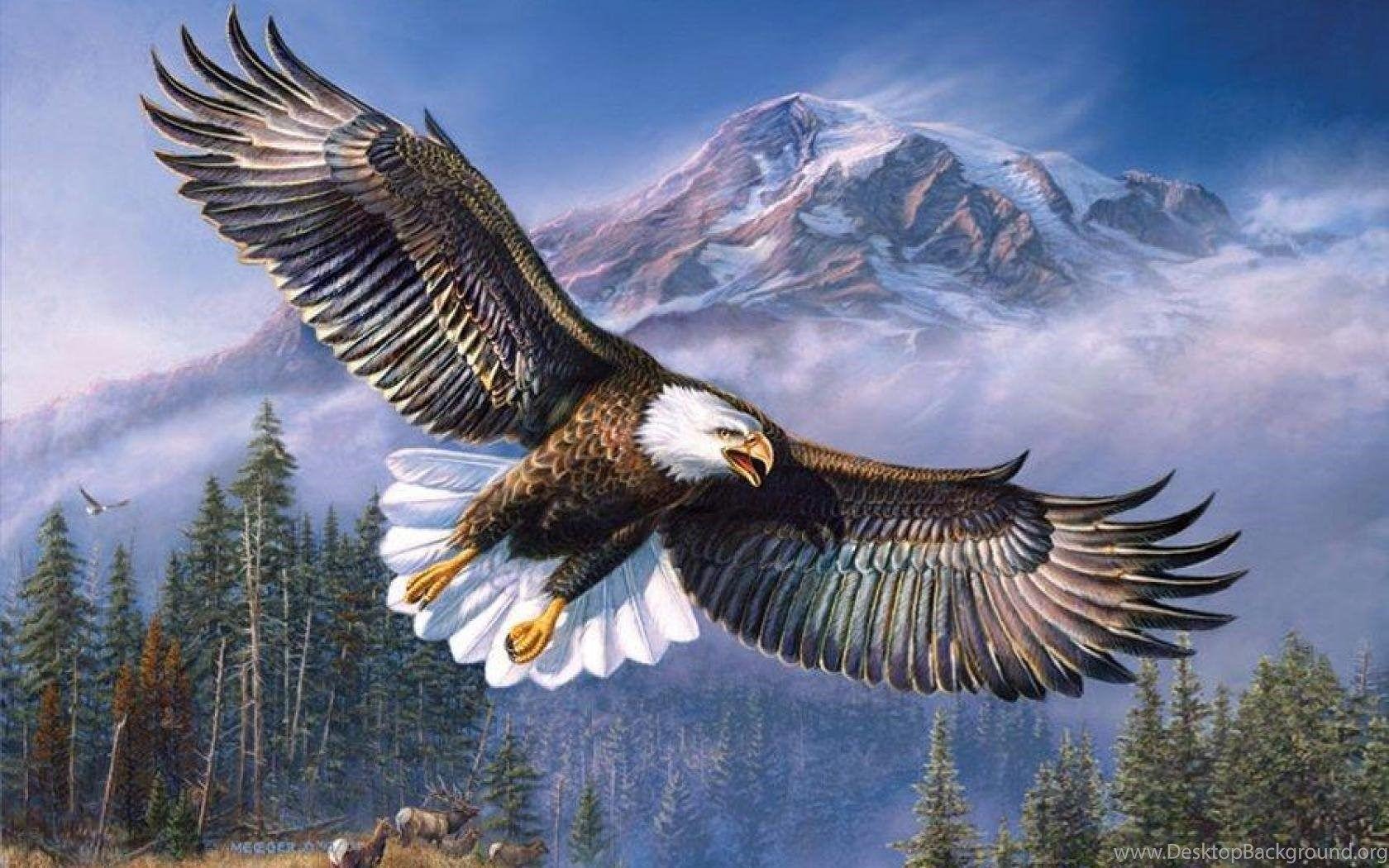 1680x1050 BY JAMES MEGER BALD EAGLE WALLPAPER Desktop Background