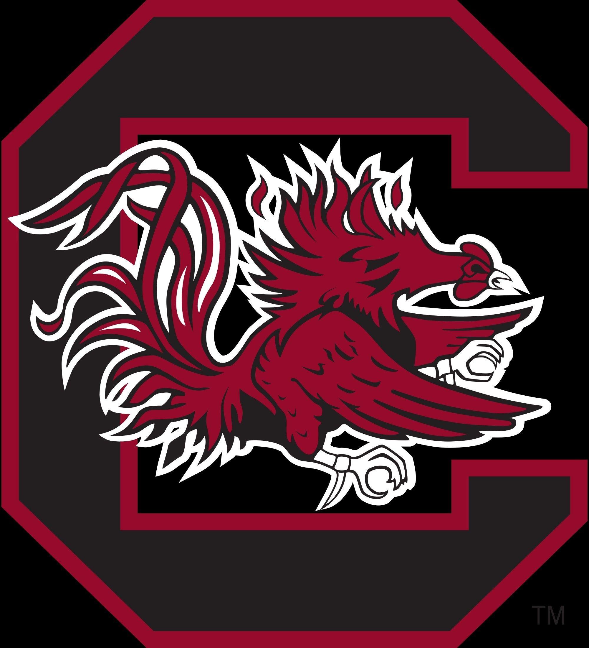 2000x2198 South Carolina Gamecocks Wallpaper
