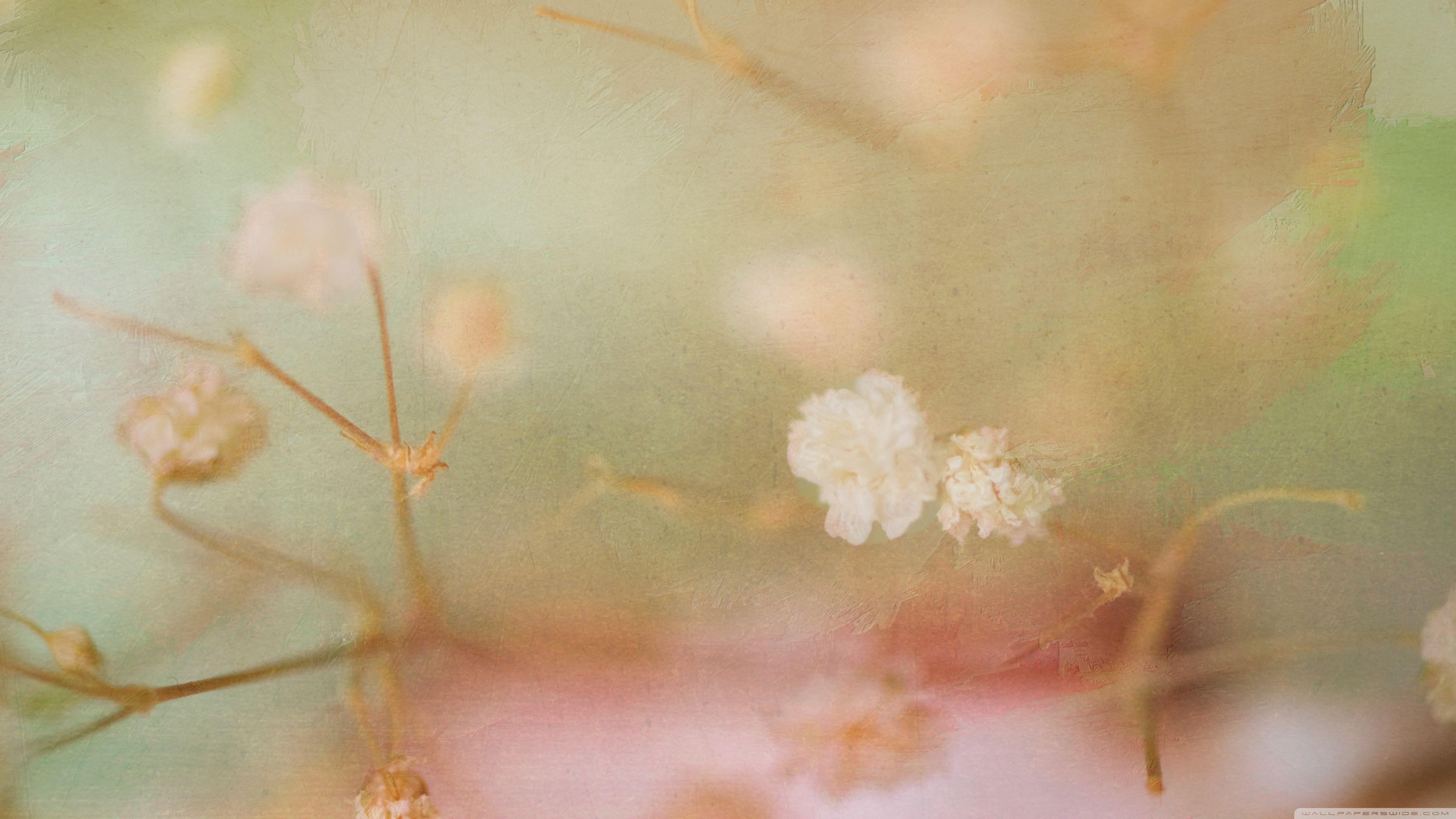 3554x1999 Vintage Flower Background Ultra HD Desktop Background Wallpaper for 4K UHD TV : Widescreen & UltraWide Desktop & Laptop : Multi Display, Dual Monitor : Tablet