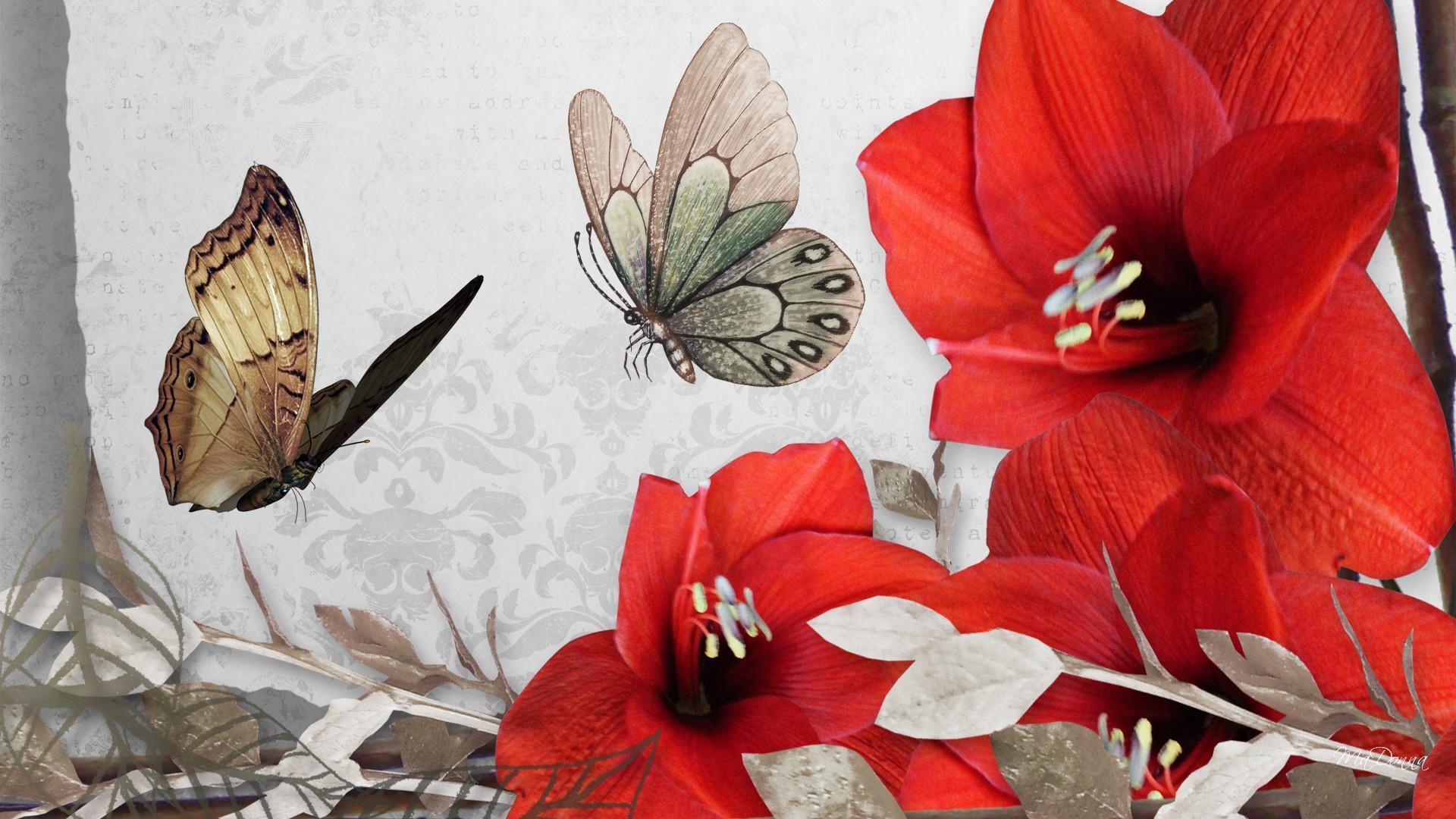 1920x1080 Red Flower Vintage Look HD desktop wallpaper : Widescreen : High Definition