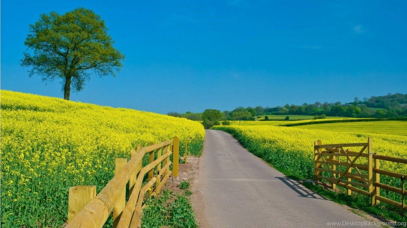 1366x768 Beautiful Sunny Day Scenery HD Wallpaper Widescreen 1366x768 Desktop Background