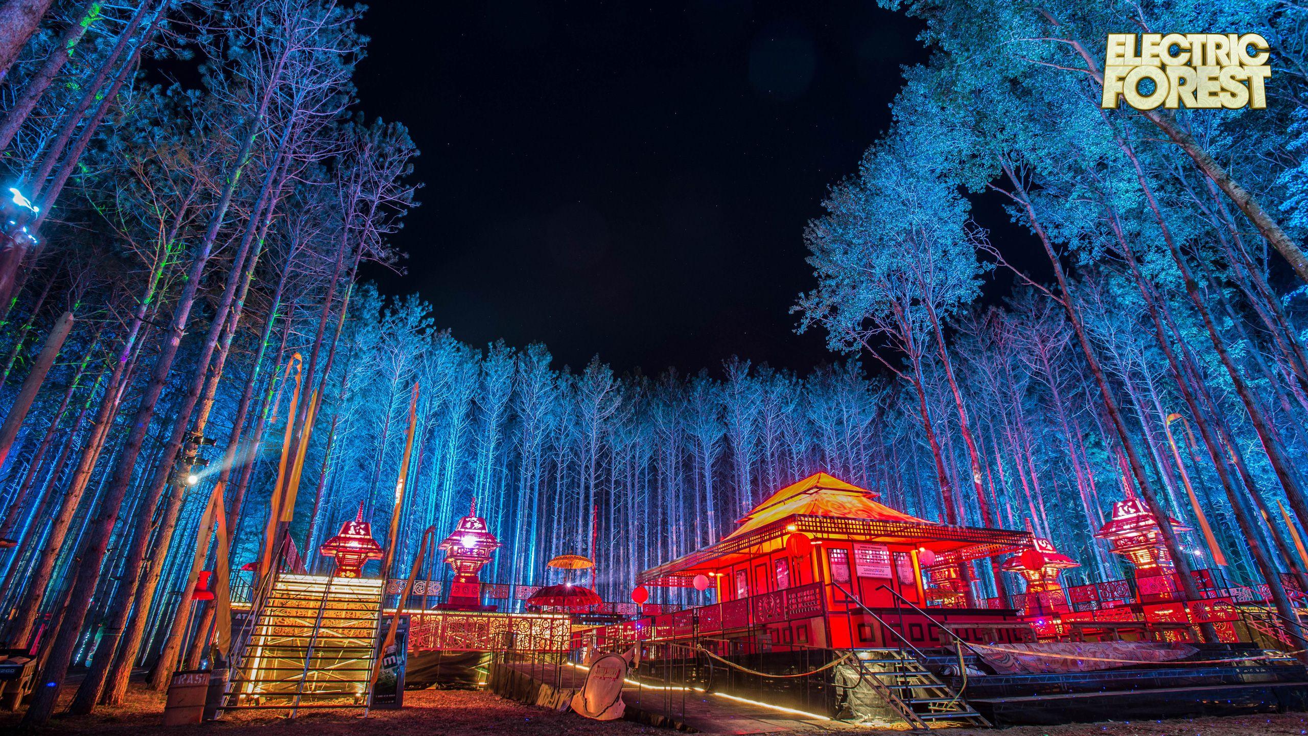 2560x1440 Electric Forest Wallpaper