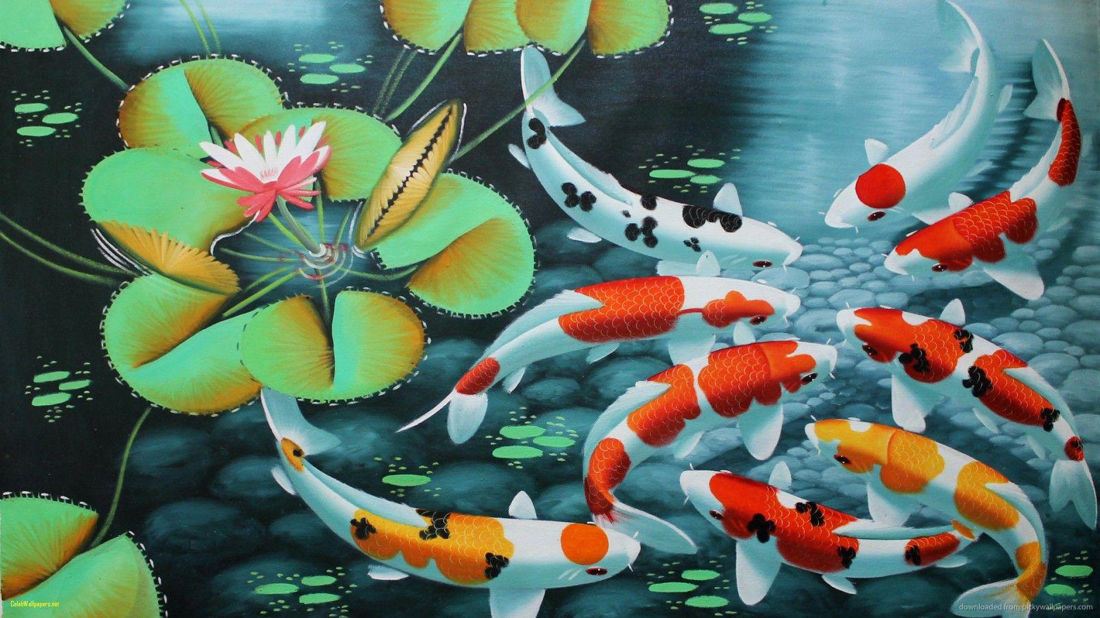 Green Koi Fish Wallpaper