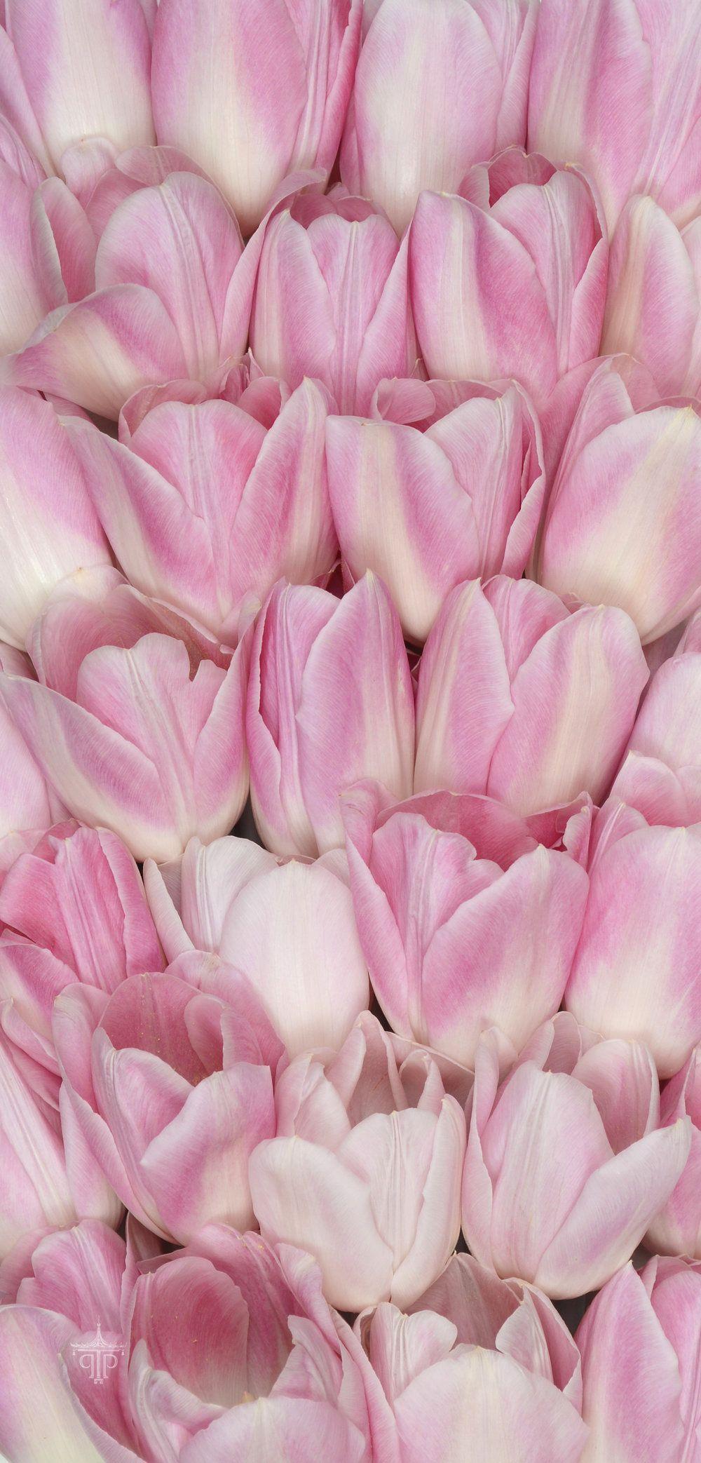 1000x2086 Floral Wallpaper For Your Phone