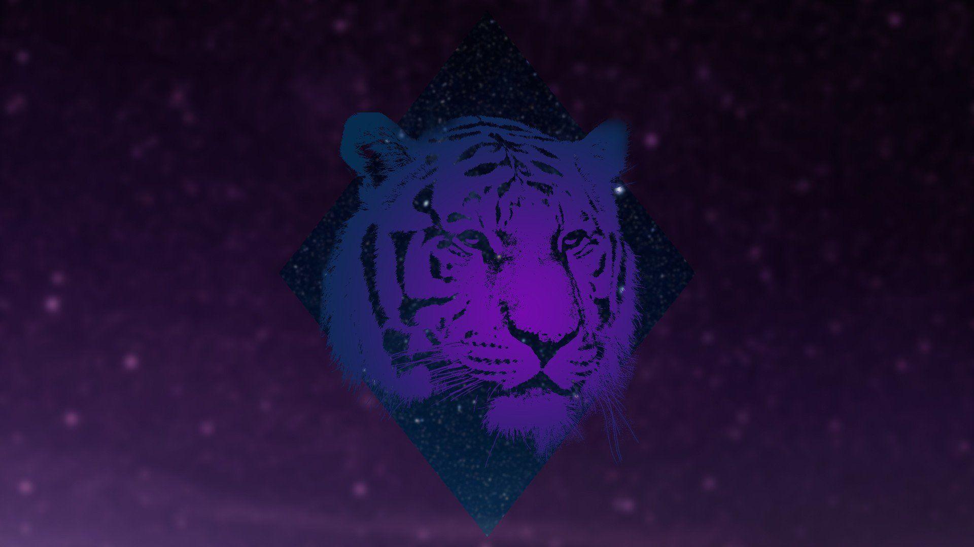 1920x1080 animals, Tiger, Galaxy HD Wallpaper / Desktop and Mobile Image & Photo