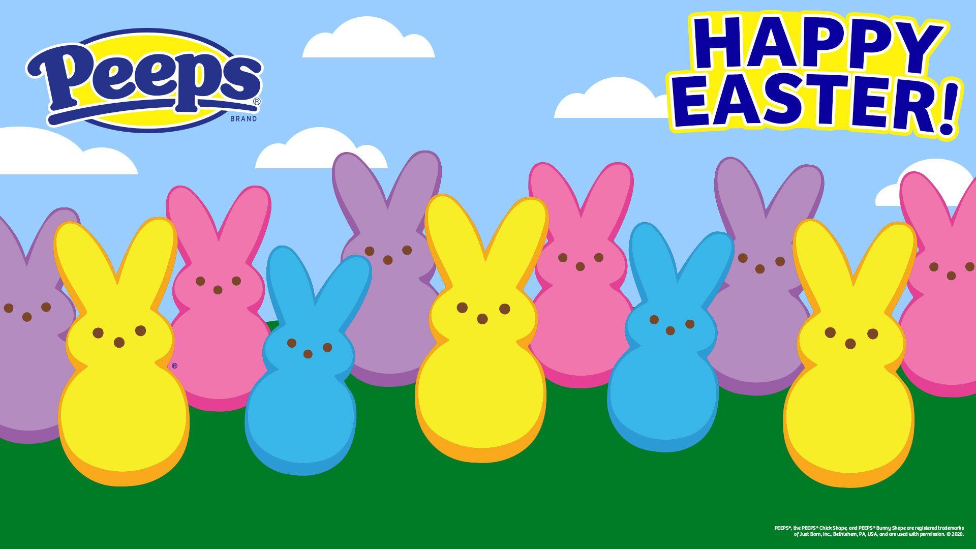 Easter Bunny Clip Art Illustration Product Desktop Wallpaper PNG  1800x660px Easter Bunny Computer Easter Text White