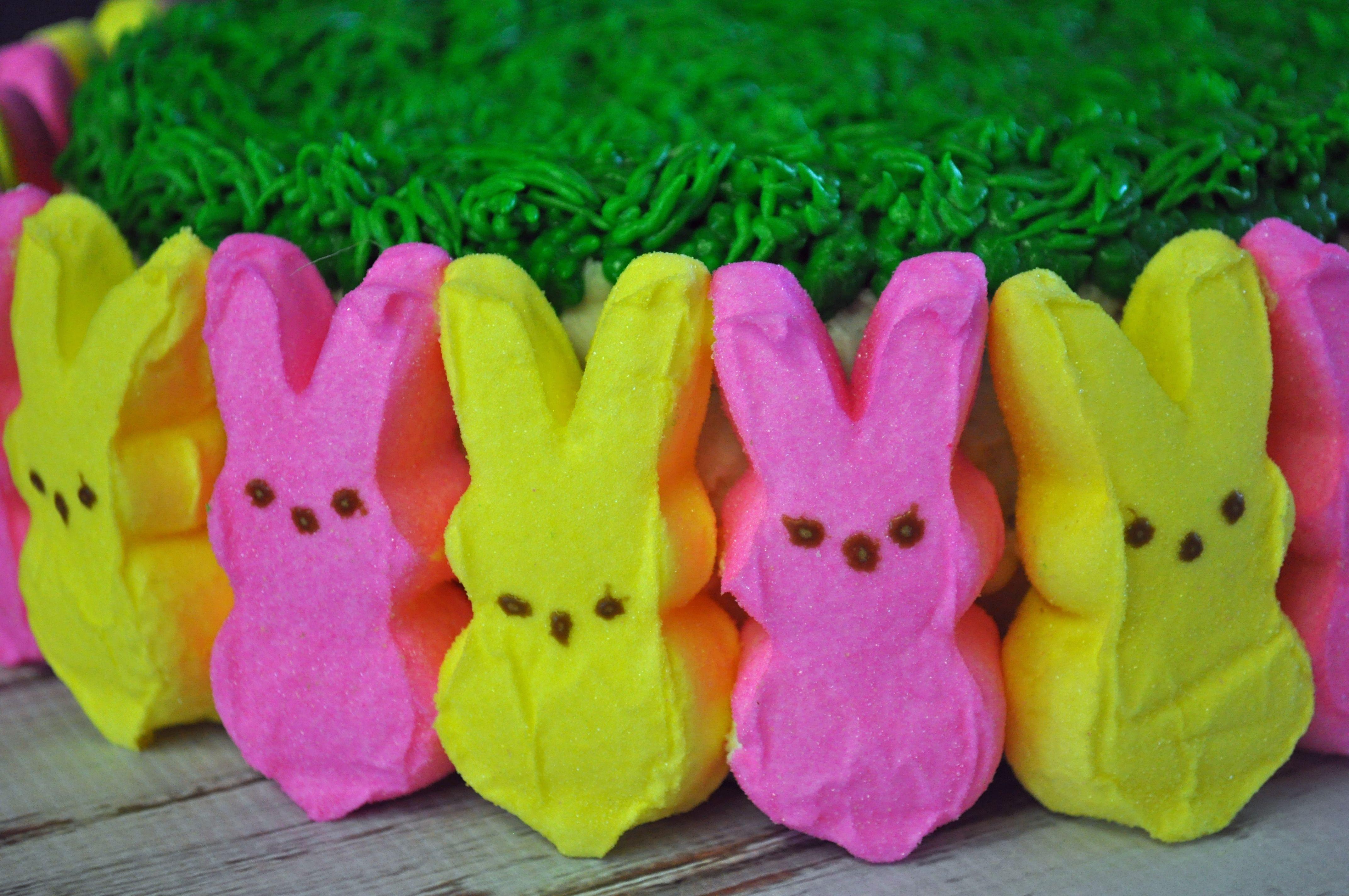 35 Things To Do With Peeps Besides Eat Them  Simplistically Living