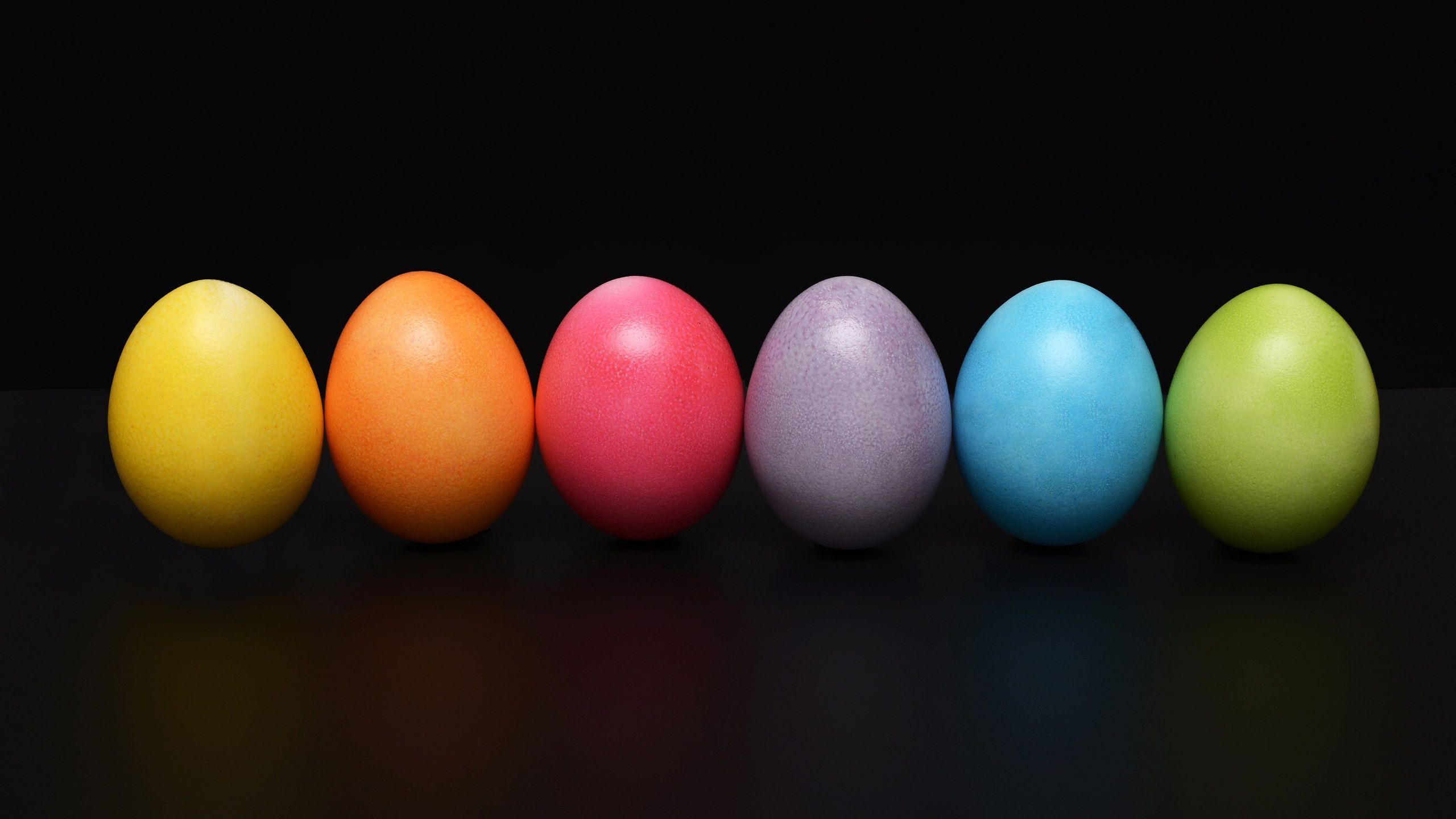 2560x1440 Easter Eggs Colorful 1440P Resolution HD 4k Wallpaper, Image, Background, Photo and Picture