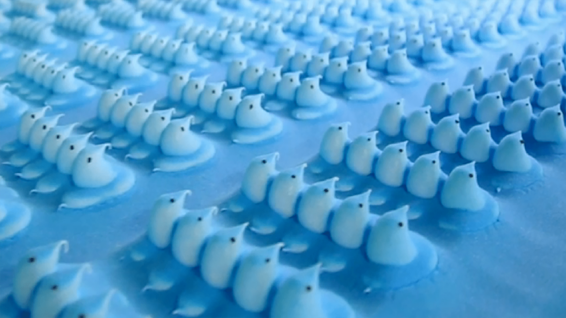 1920x1080 How marshmallow Peeps are made
