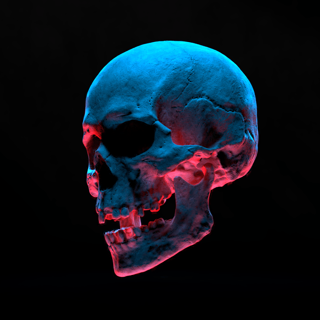 1080x1080 Skull Reference. Skull reference, Skull wallpaper, Skull art