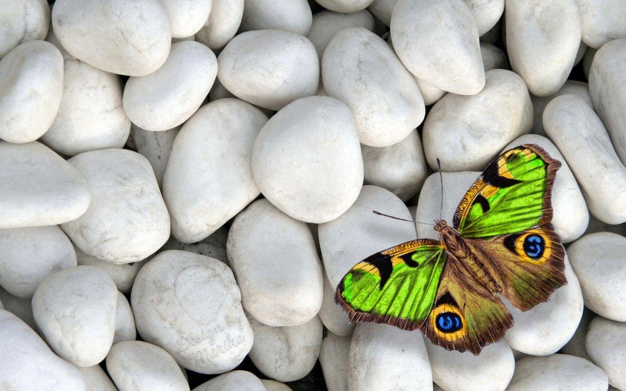 1280x800 Green Brown Butterfly wallpaper. Green Brown Butterfly