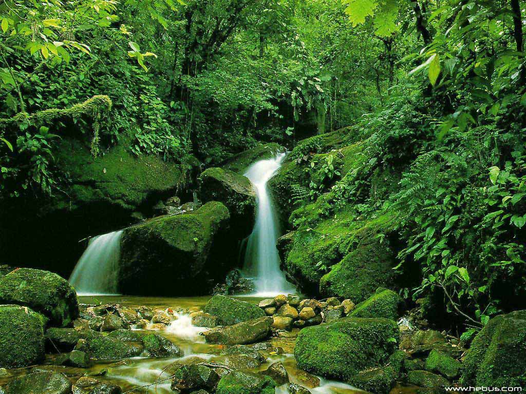 1024x768 Free download Japan Beautiful Nature Waterfall Wallpaper for [1024x768] for your Desktop, Mobile & Tablet. Explore Free Waterfall Wallpaper. Waterfall Wallpaper, Live Waterfall Wallpaper for Desktop, Free Waterfall Wallpaper with Sound