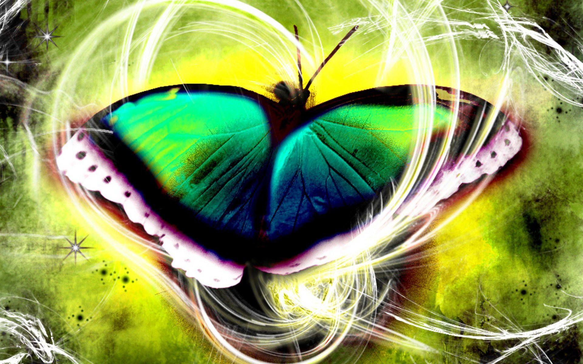 Green Butterfly Wallpapers - Top Free Green Butterfly Backgrounds