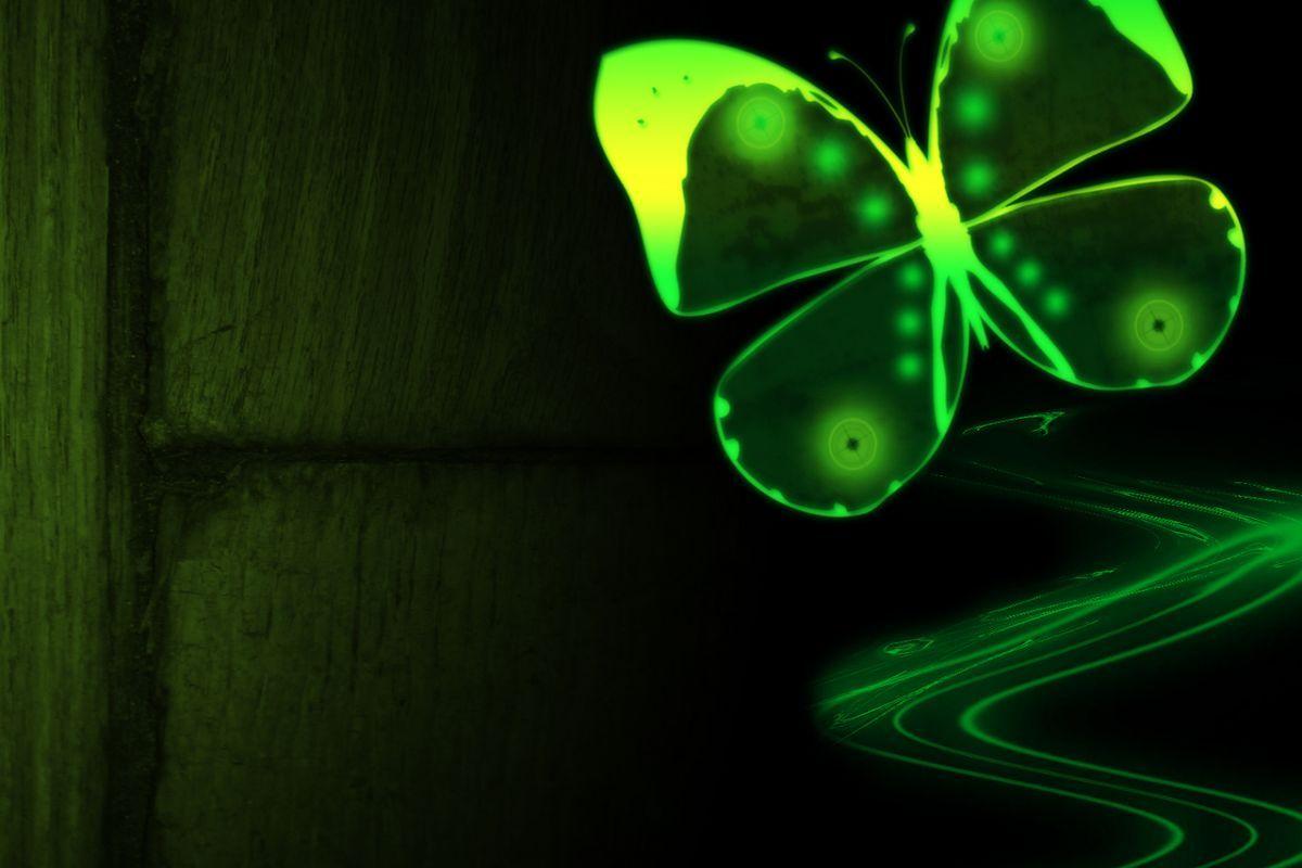 1200x800 Neon Green Butterfly Wallpaper