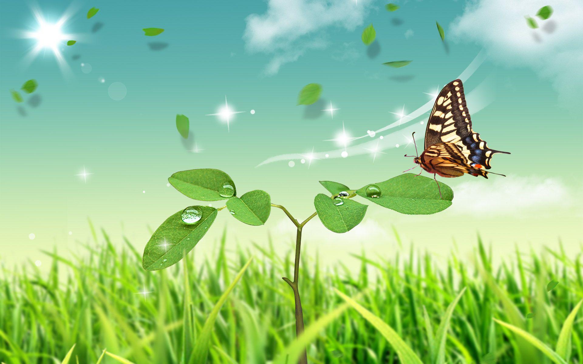 1920x1200 Desktop download free butterfly wallpaper