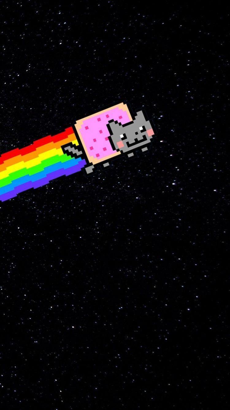 Download Cat Watching Nyan Cat Wallpaper  Wallpaperscom