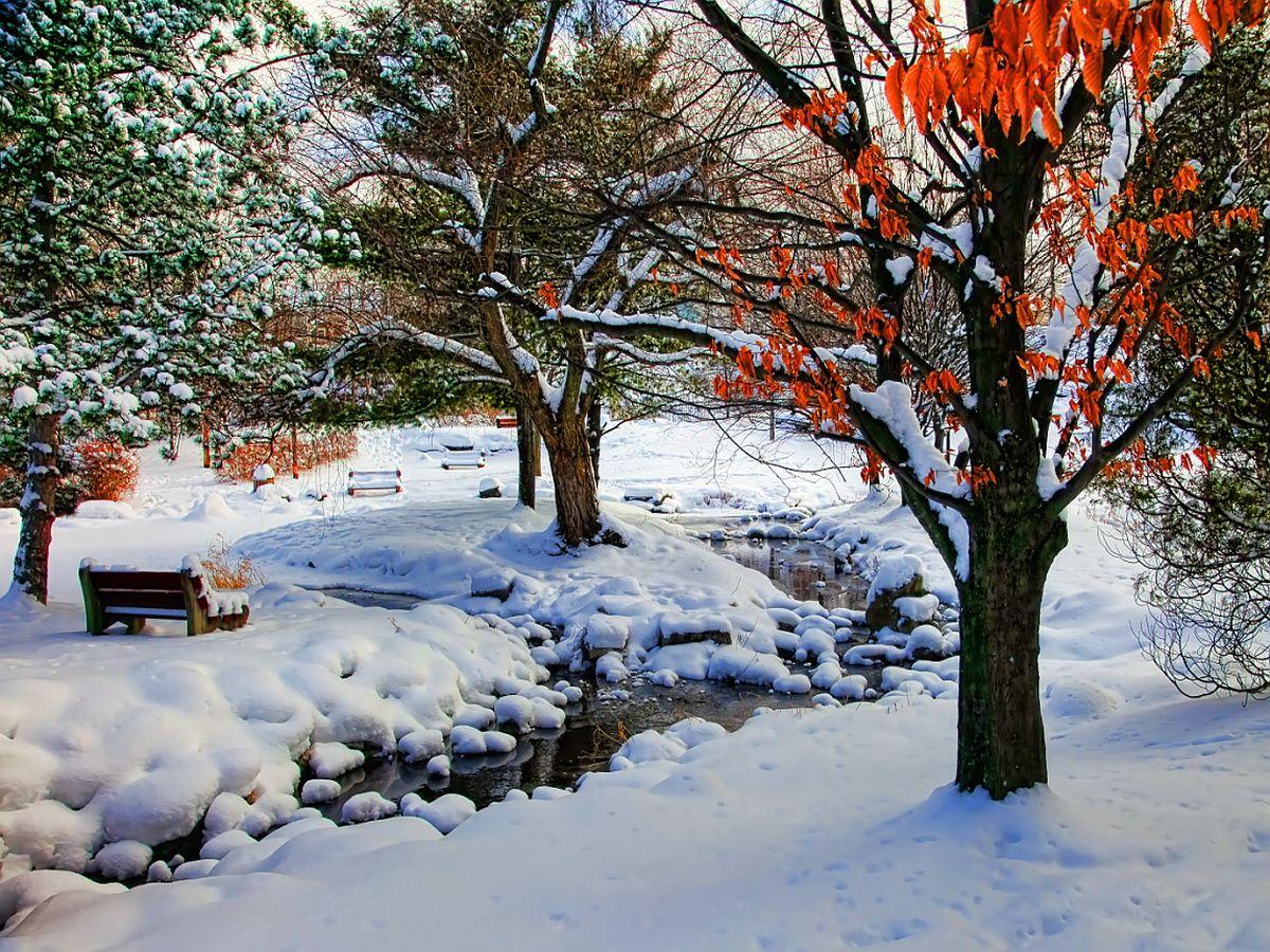 1200x900 Free download Too early winter wallpaper ForWallpapercom [1200x900] for your Desktop, Mobile & Tablet. Explore Early Winter Wallpaper. Early Winter Wallpaper, Early Victorian Wallpaper, Early Spring Wallpaper