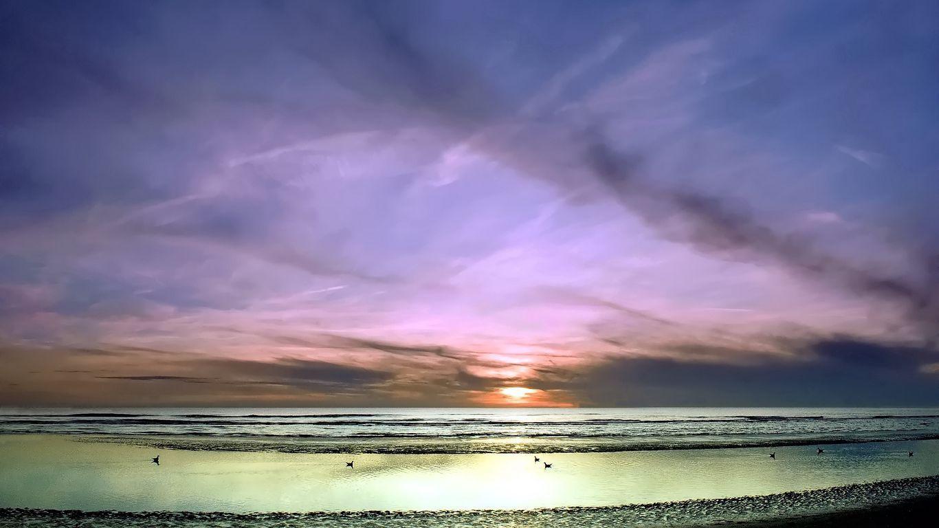 1366x768 Download wallpaper 1366x768 sky, horizon, clouds, birds, flight, ease, pastel, coast tablet, laptop HD background