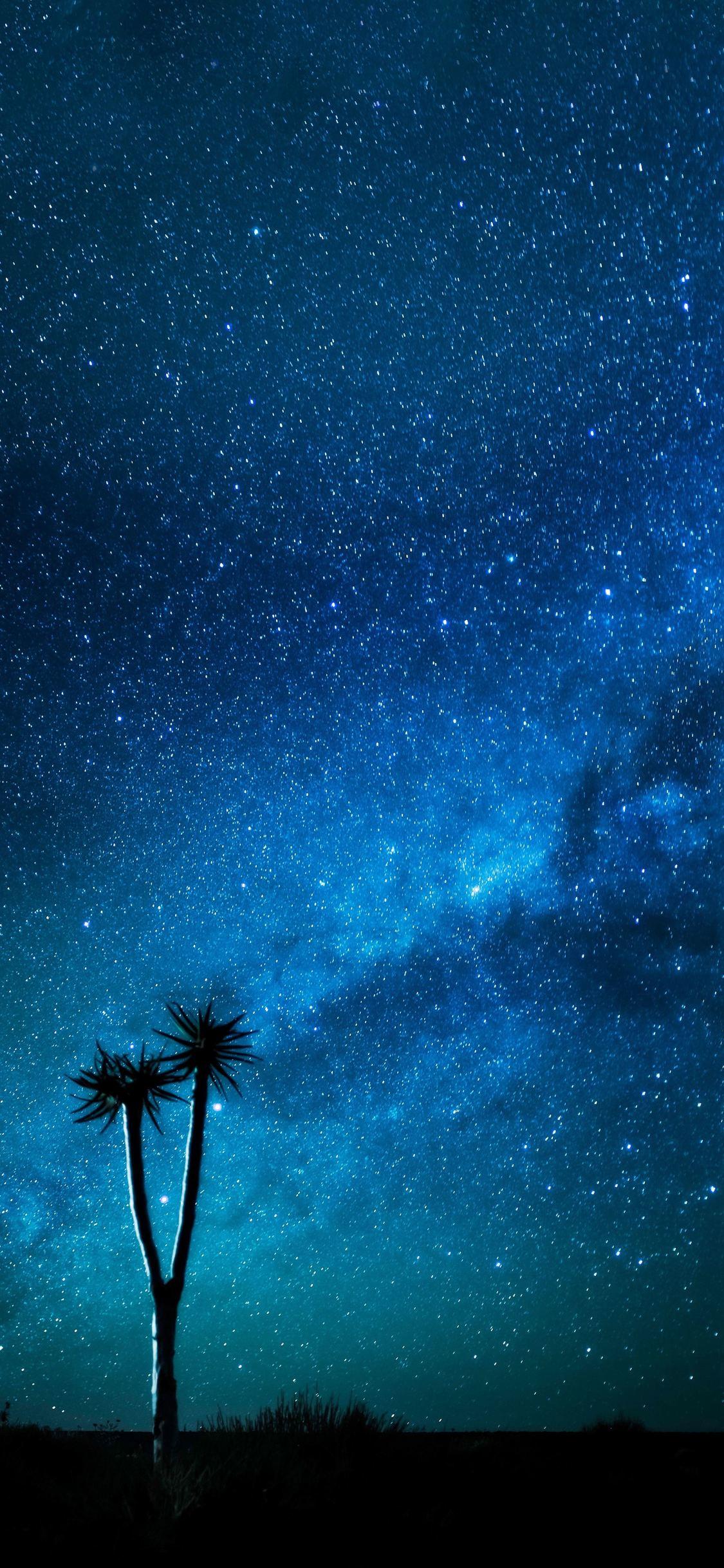 1125x2436 iPhone 8k Nature Wallpaper