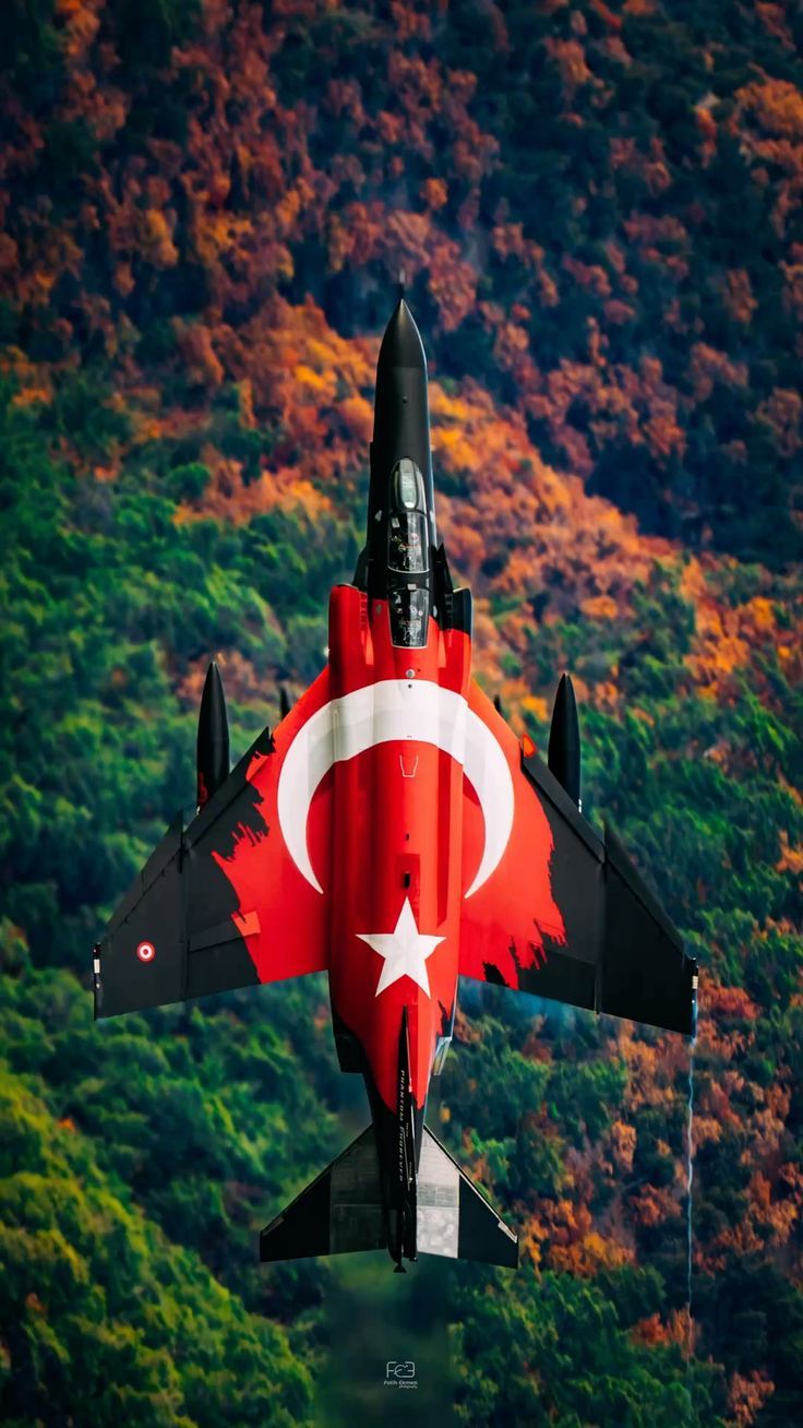736x1308 F4 Phantom 50. Yıl