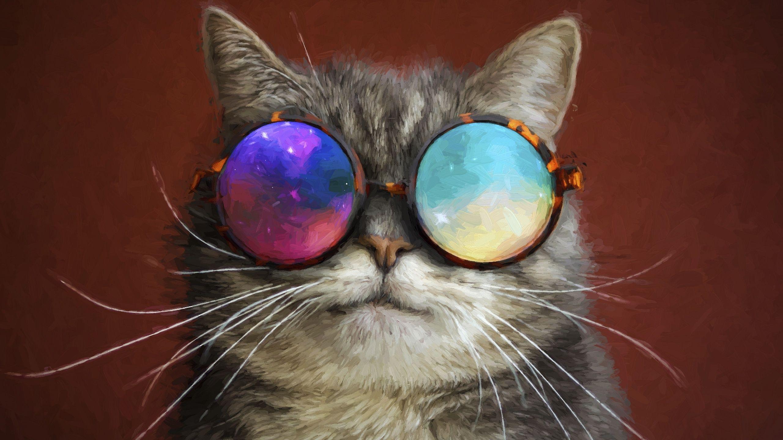 2560x1440 Cat Glasses Party Cool Painting 1440P Resolution HD 4k Wallpaper, Image, Background, Photo and Picture