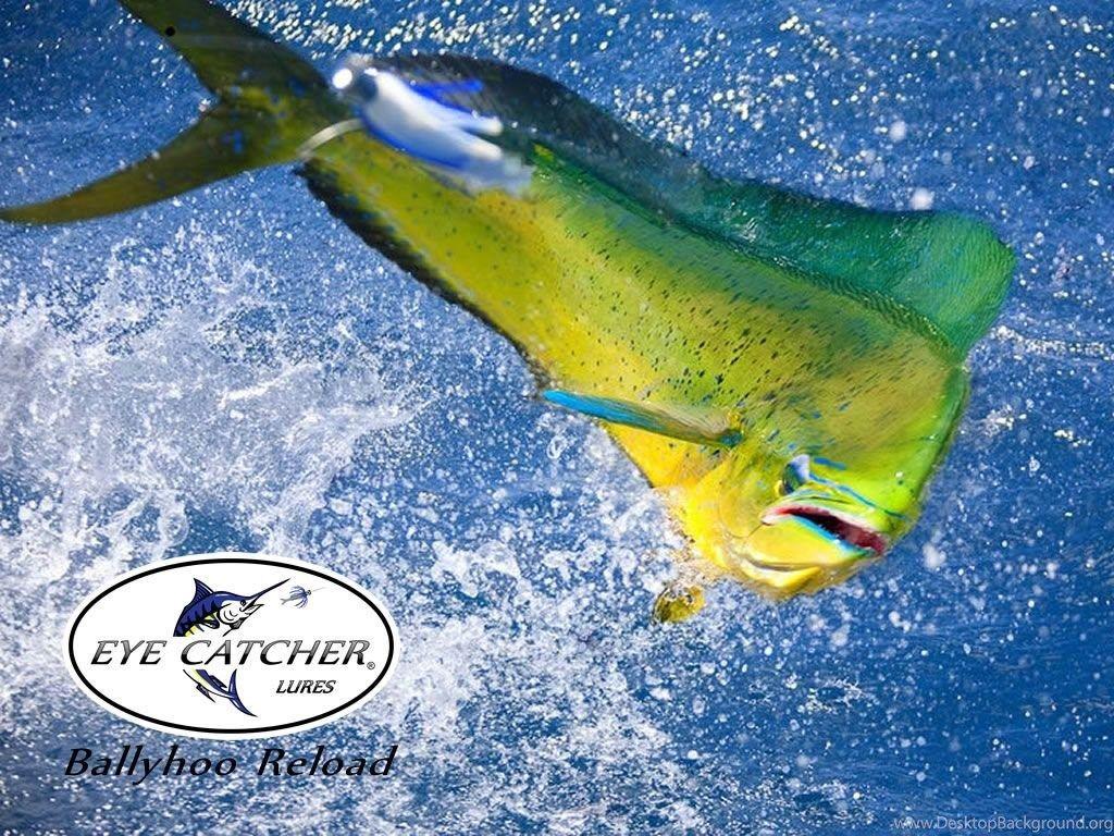 1024x768 Top Offshore Fishing Wallpaper Wallpaper Desktop Background