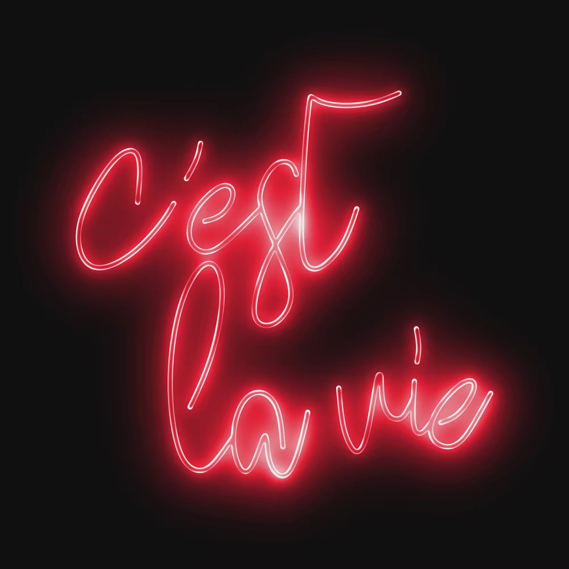1946x1946 C’est La Vie Neon Light