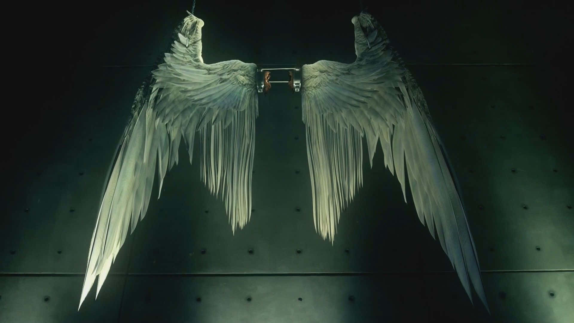 1920x1080 Lucifer Wings HD Wallpaper (100++)
