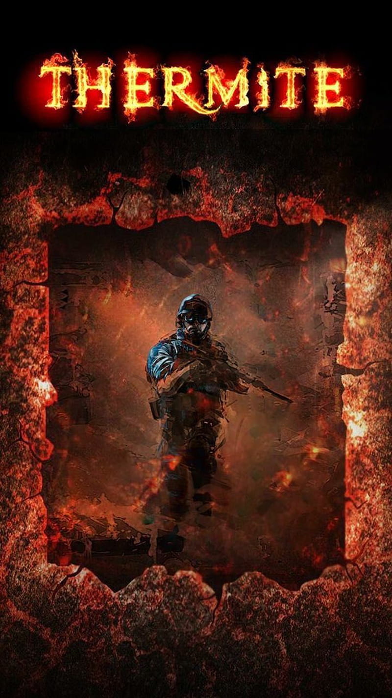 800x1422 Rainbow six siege, r rb HD phone wallpaper