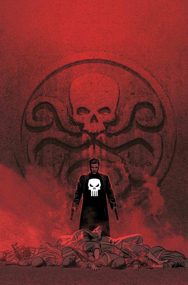 736x1117 The Punisher vs Hydra Marvel