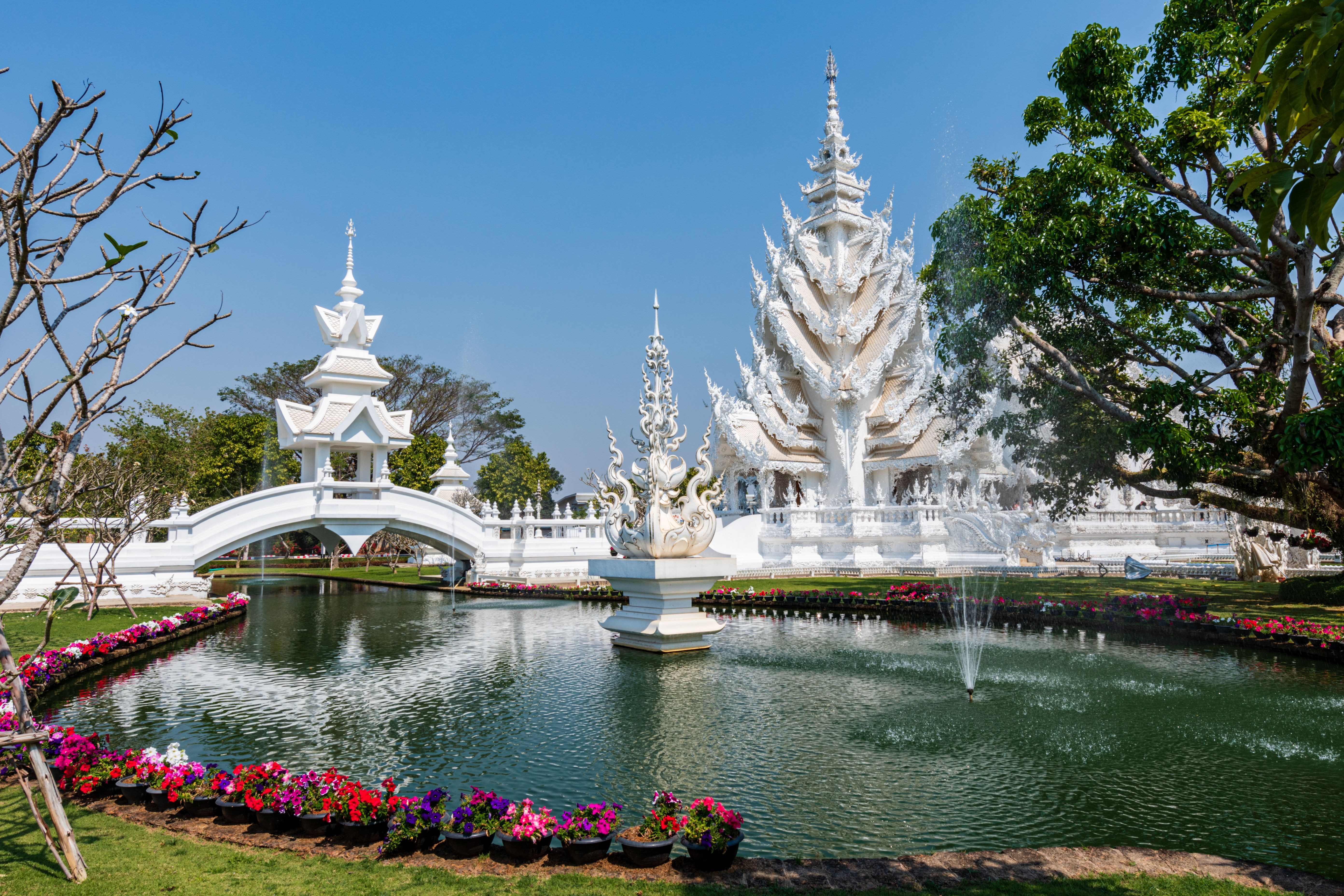 5568x3712 Wat Rong Khun White Temple Photo, Download The BEST Free Wat Rong Khun White Temple & HD Image