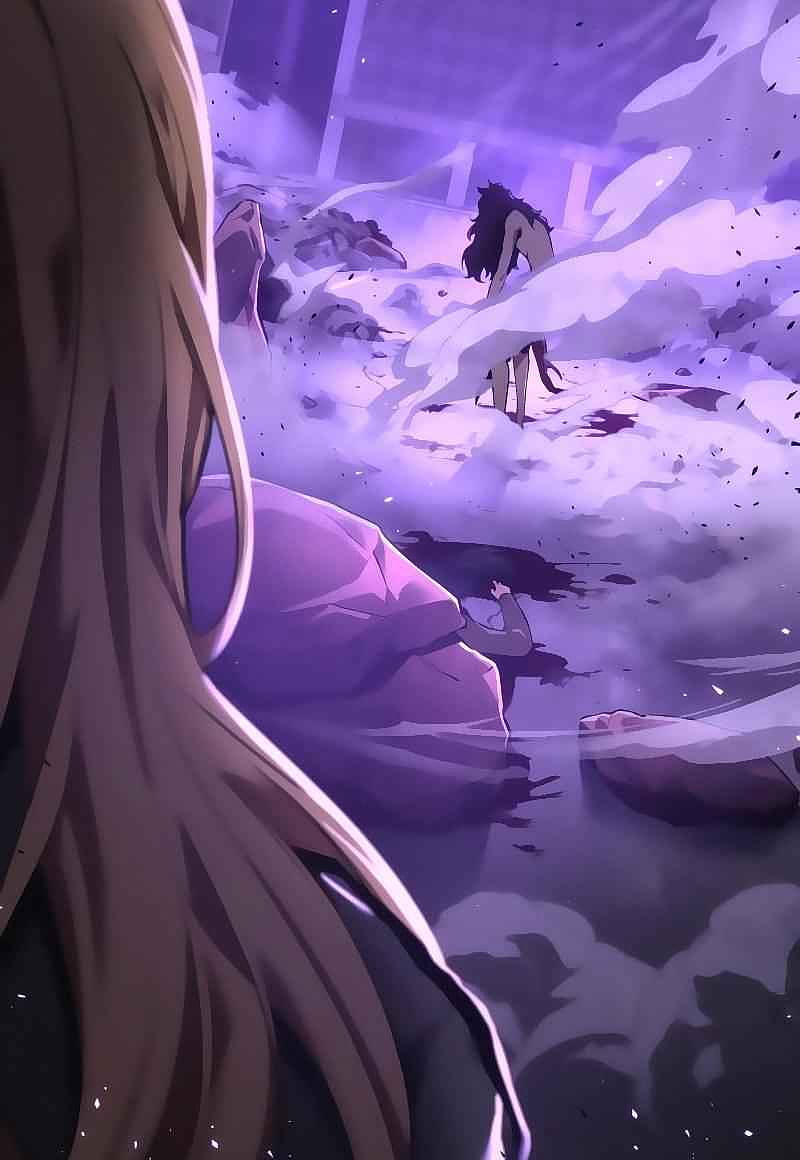 800x1160 Omniscient reader's Viewpoint, Chapter HD phone wallpaper