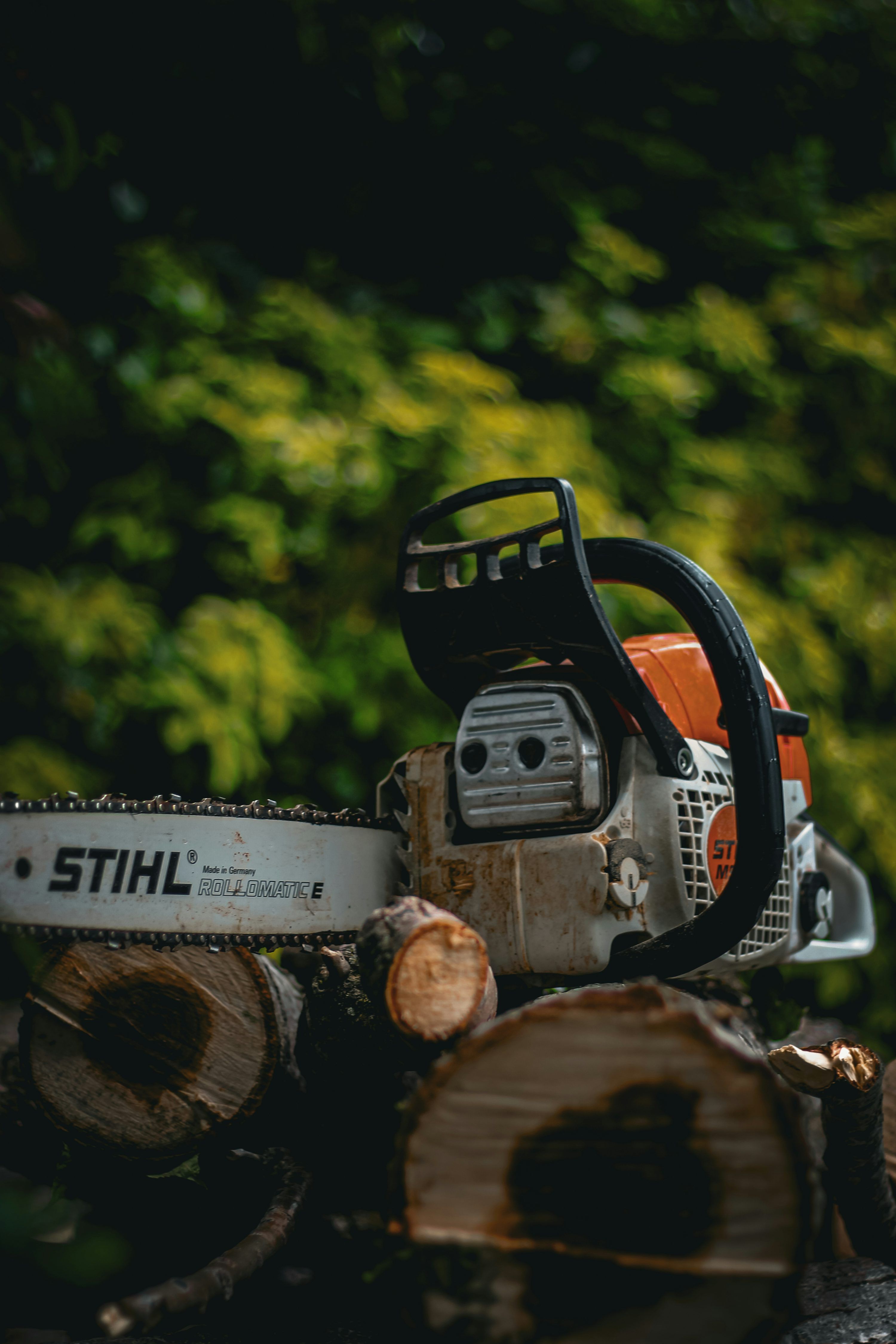 3000x4500 A chainsaw sitting on top of a pile of logs photo