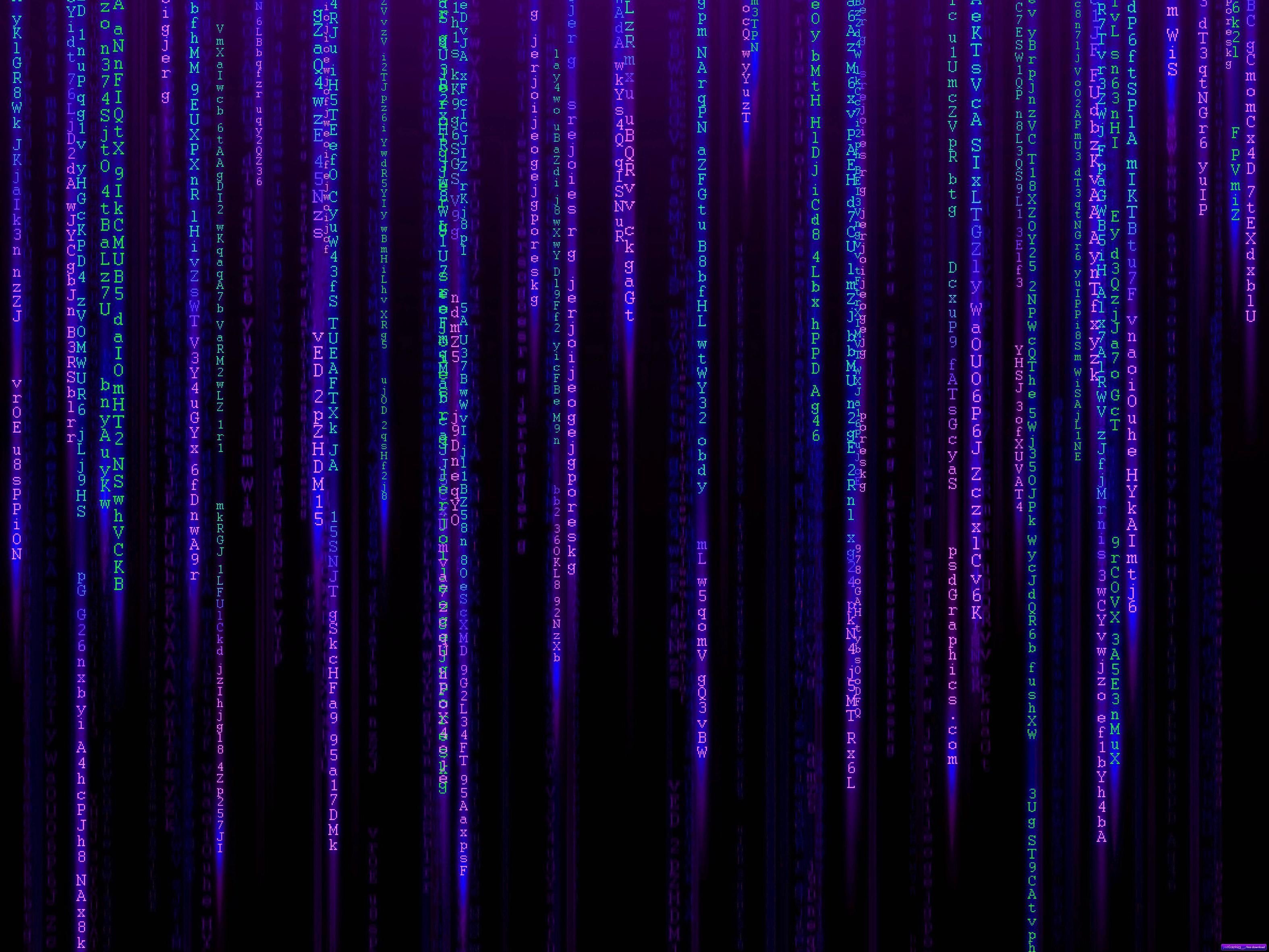 3150x2363 Purple Matrix Wallpaper