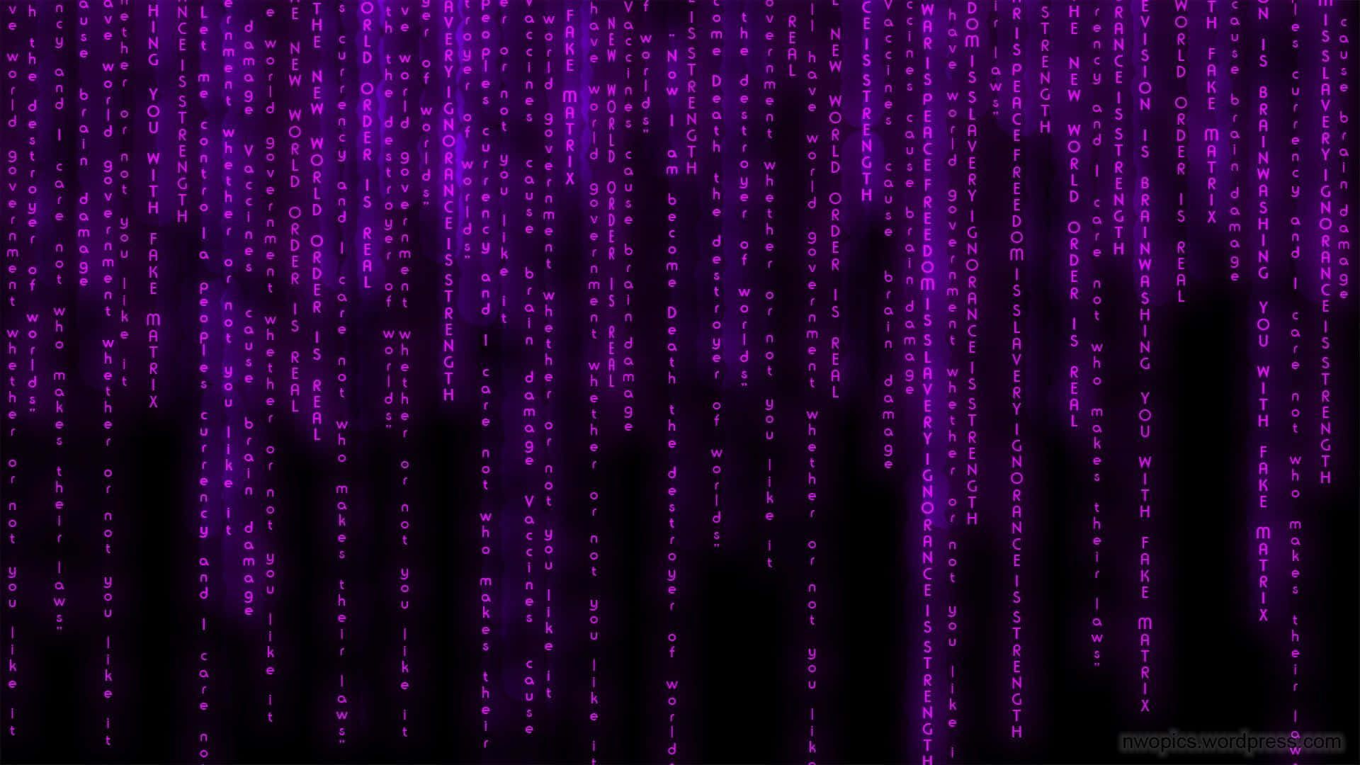 1920x1080 Purple Matrix Wallpaper