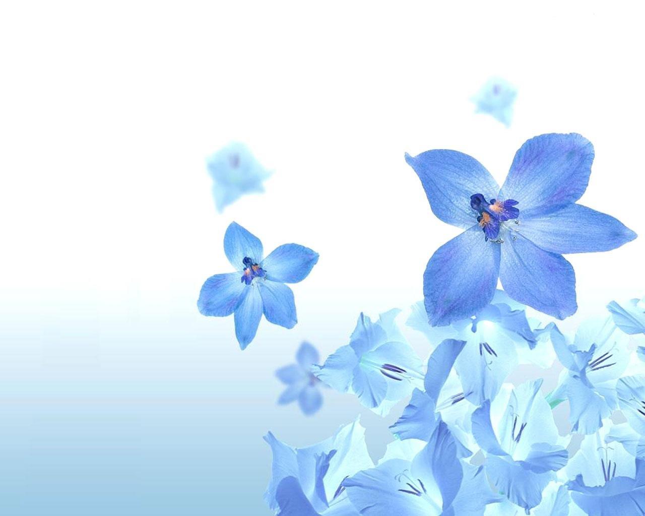 1280x1024 Blue Flower wallpaper 1280x1024 desktop background