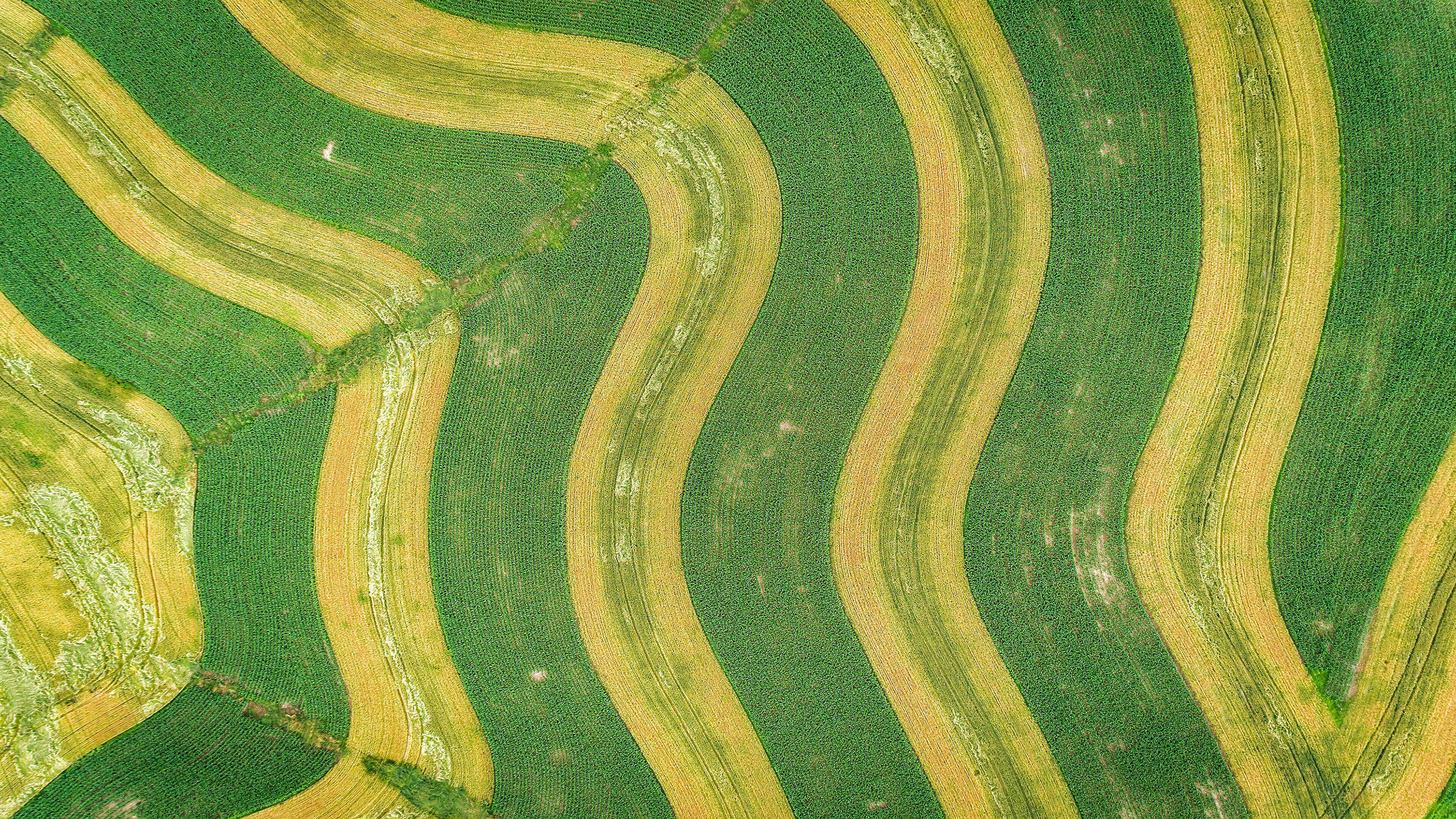3300x1856 Microsoft Windows 11 Stock Aerial Farm Shot Green Grass