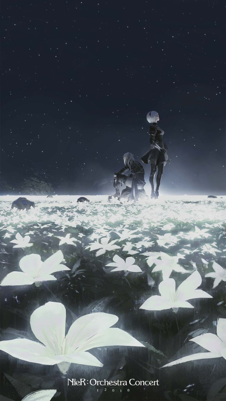 736x1308 Nier Automata Phone Wallpaper