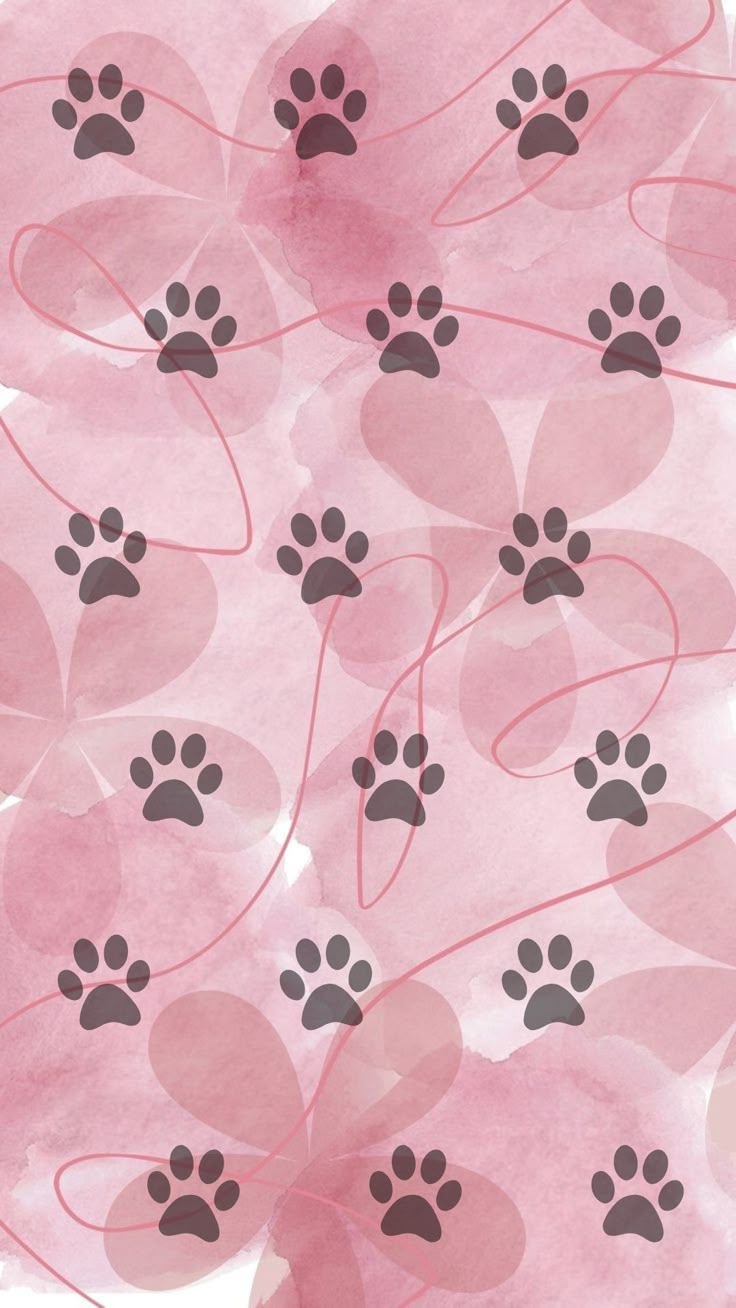 736x1308 Dog paws wallpaper