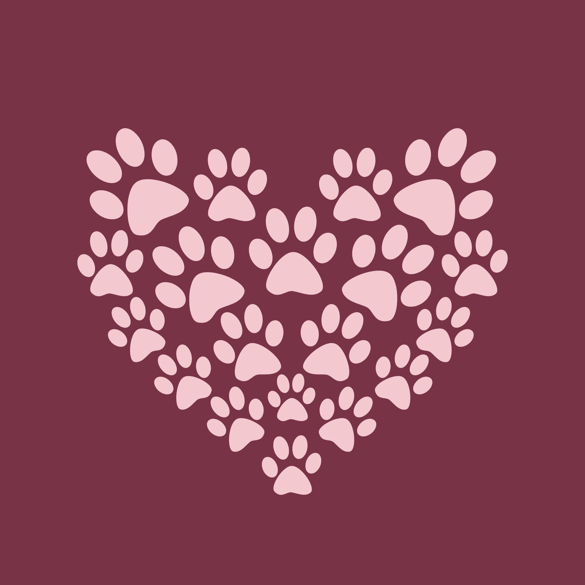 1920x1920 Paw Print Picture