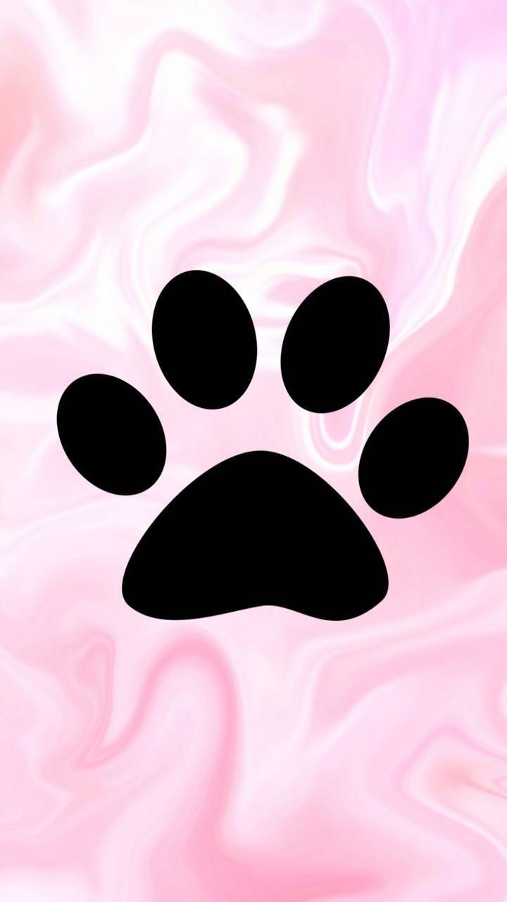720x1280 Dog Paw Wallpaper