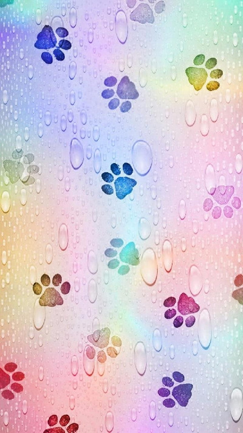 800x1422 Animal, paw, print, HD phone wallpaper