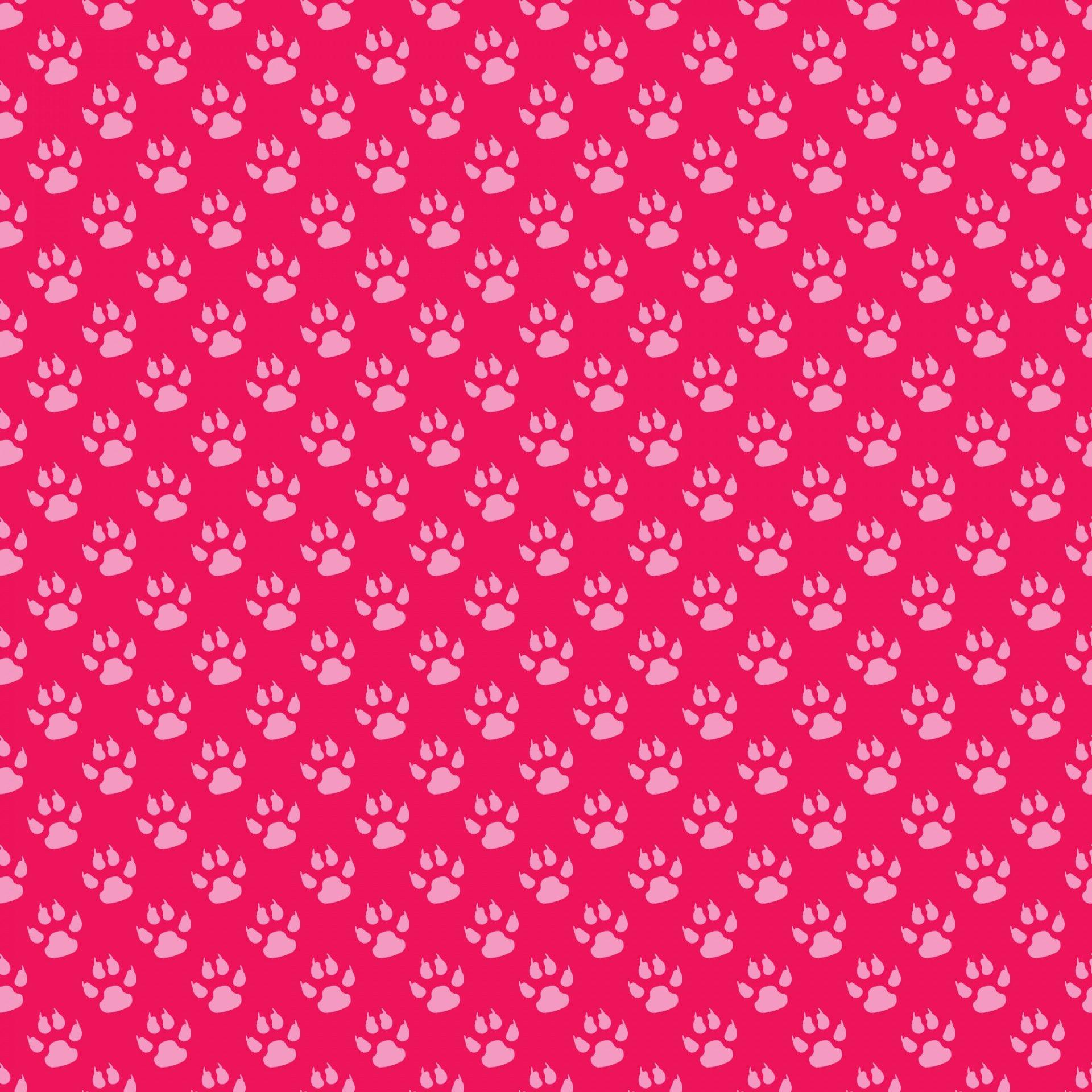 1920x1920 Paw Wallpaper