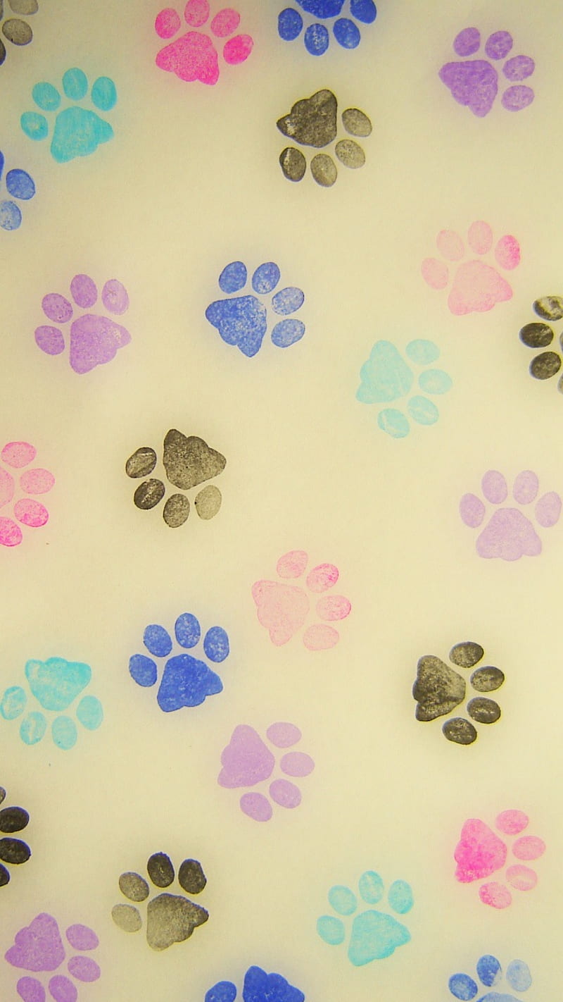 800x1422 Cat Paw Prints, cats, colors, designs, feline, fun, kitty, pattern, paws, simple, HD phone wallpaper