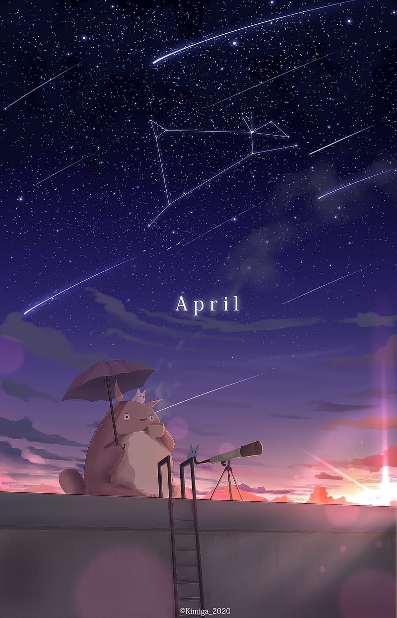 800x1244 Totoro, studio ghibli, tonari no totoro, falling stars, scenery, Anime, HD phone wallpaper