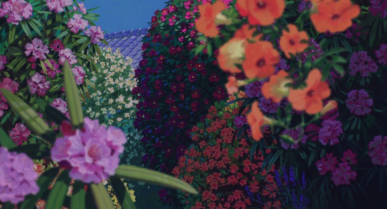 1600x867 spirited away flowers Wallpaper Club