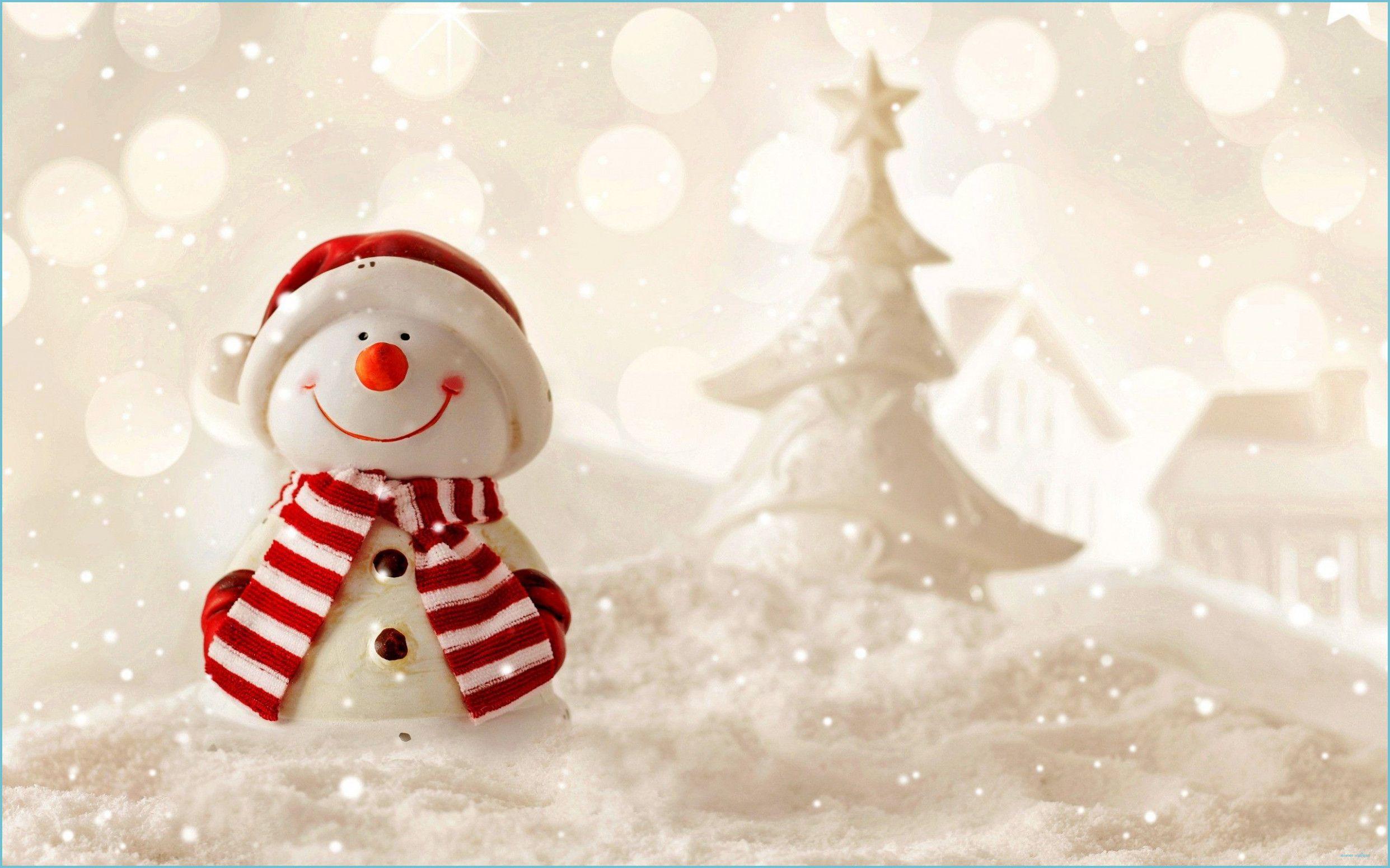 Real Snowman Wallpapers Top Free Real Snowman Backgrounds Wallpaperaccess