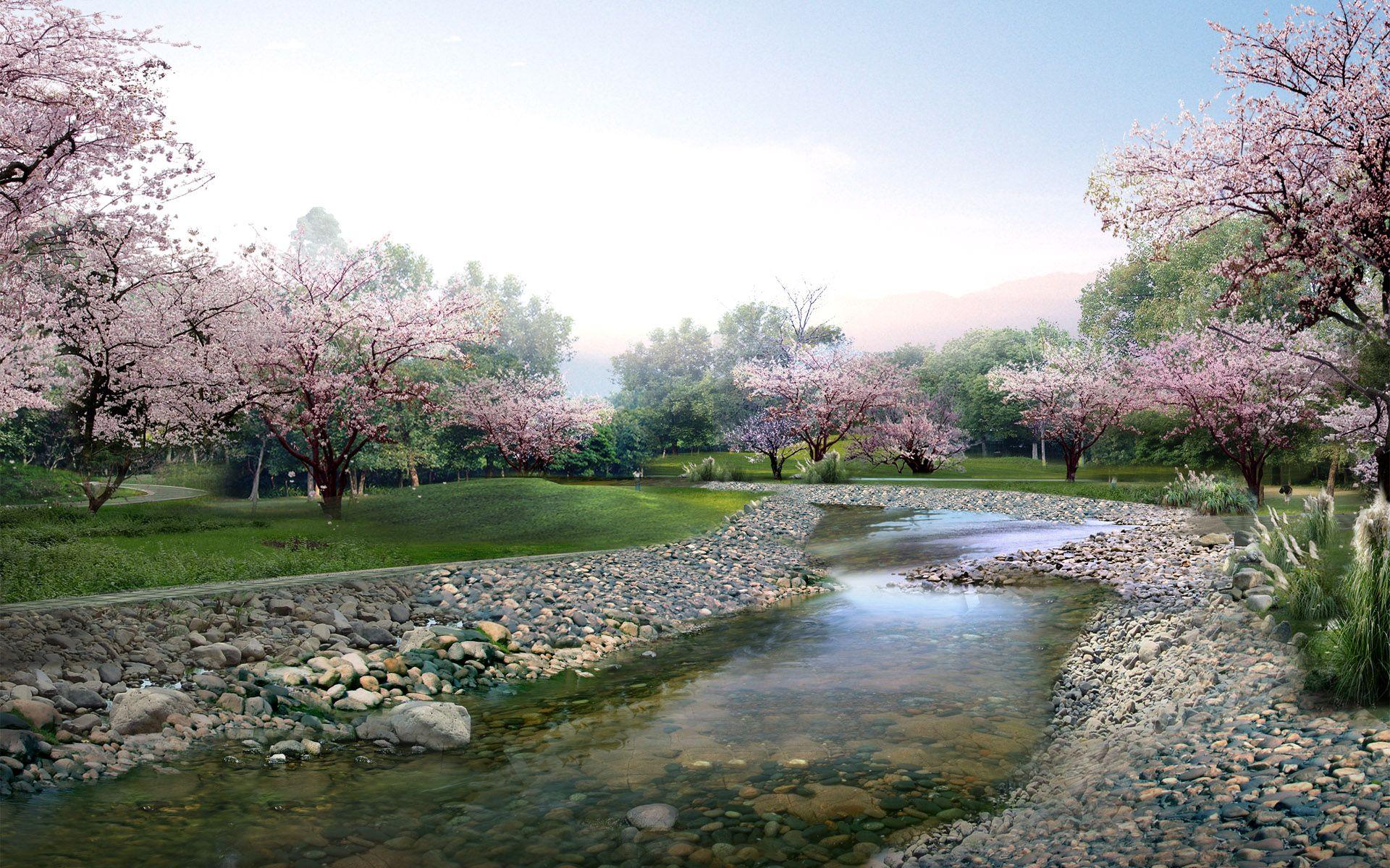 1920x1200 Japan Sakura Wallpaper 51329 1920x1200px