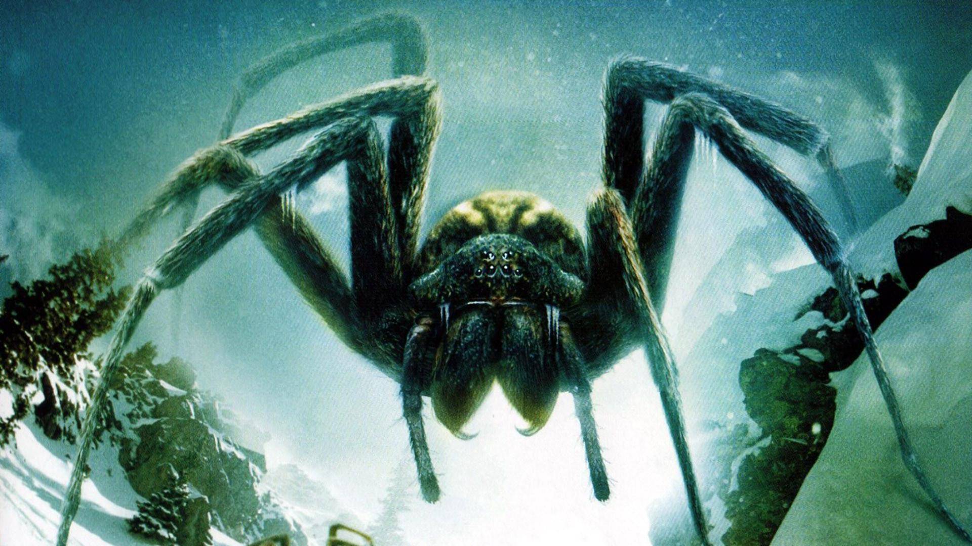 1920x1080 Ice Spiders (Hình nền) - Hình nền Phim quái vật khổng lồ